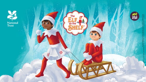 The Elf on the Shelf® elves with sled in snowy scene